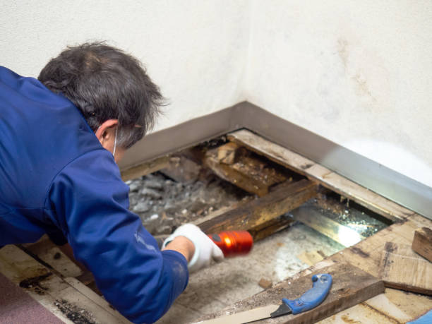 Best Mold Testing  in Cashmere, WA