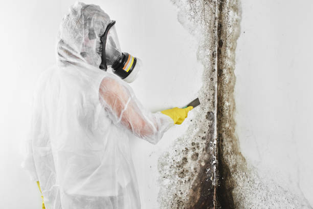 Best Emergency Mold Removal  in Cashmere, WA