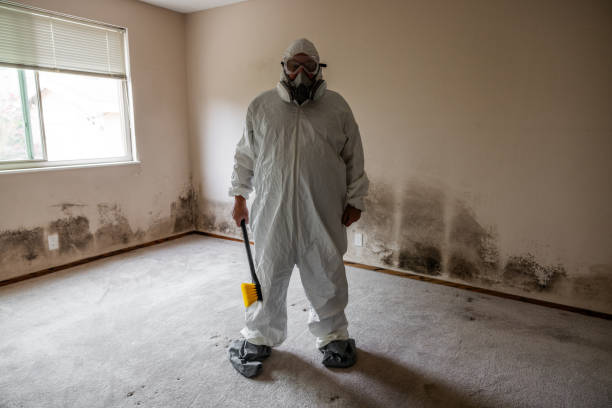 Best Mold Testing  in Cashmere, WA